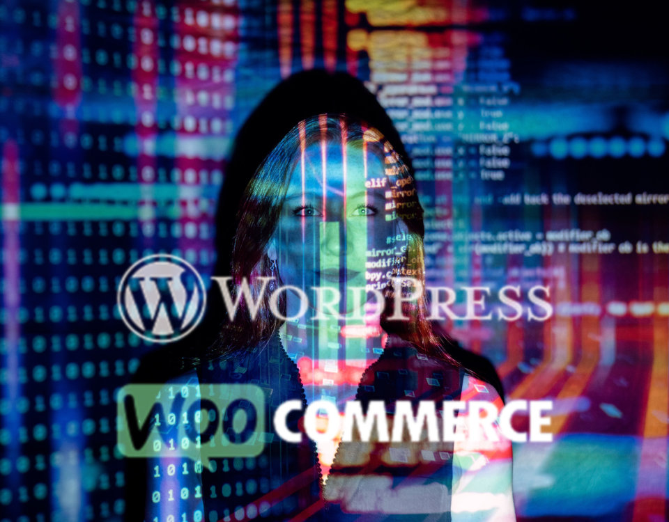 Wordpress Chat Gpt Von Open Ai Nutzen Umsetzen Text Bild Chatbot