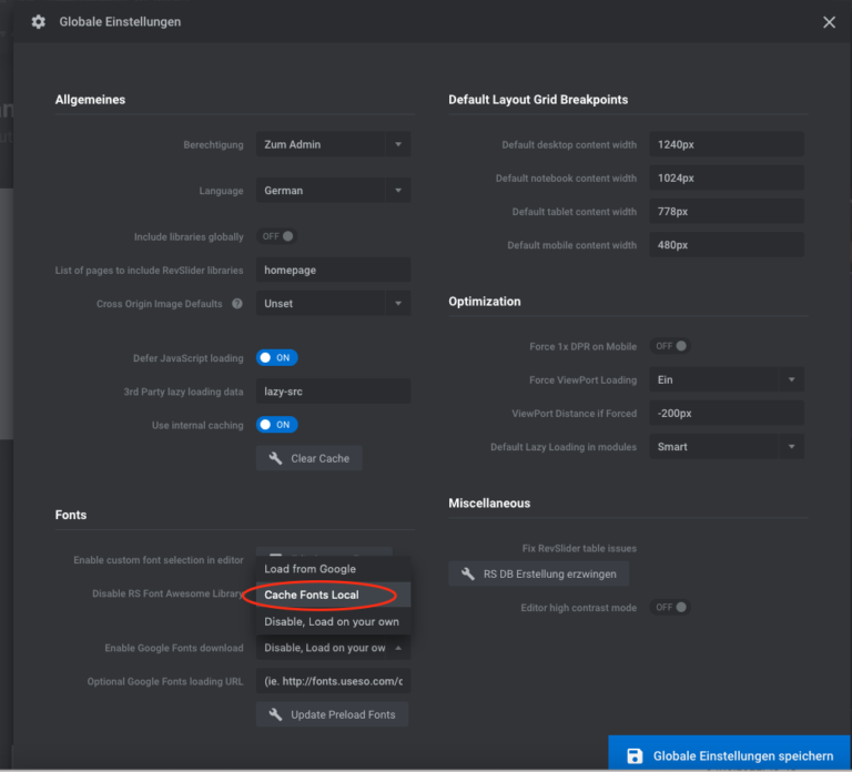 Google Fonts Revolution Slider Lokal Laden Deaktivieren Plugin