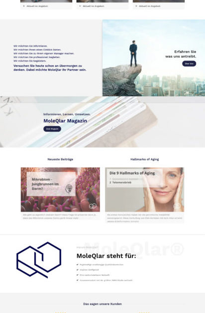 Moleqlar Wordpress Woocommerce Webdesign Online Shop Agentur