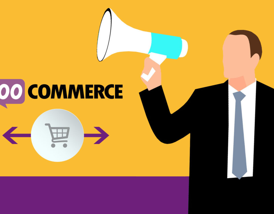 Woocommerce Auctions Plugin Shop Wordpress Woo Online Shop Webshop Module