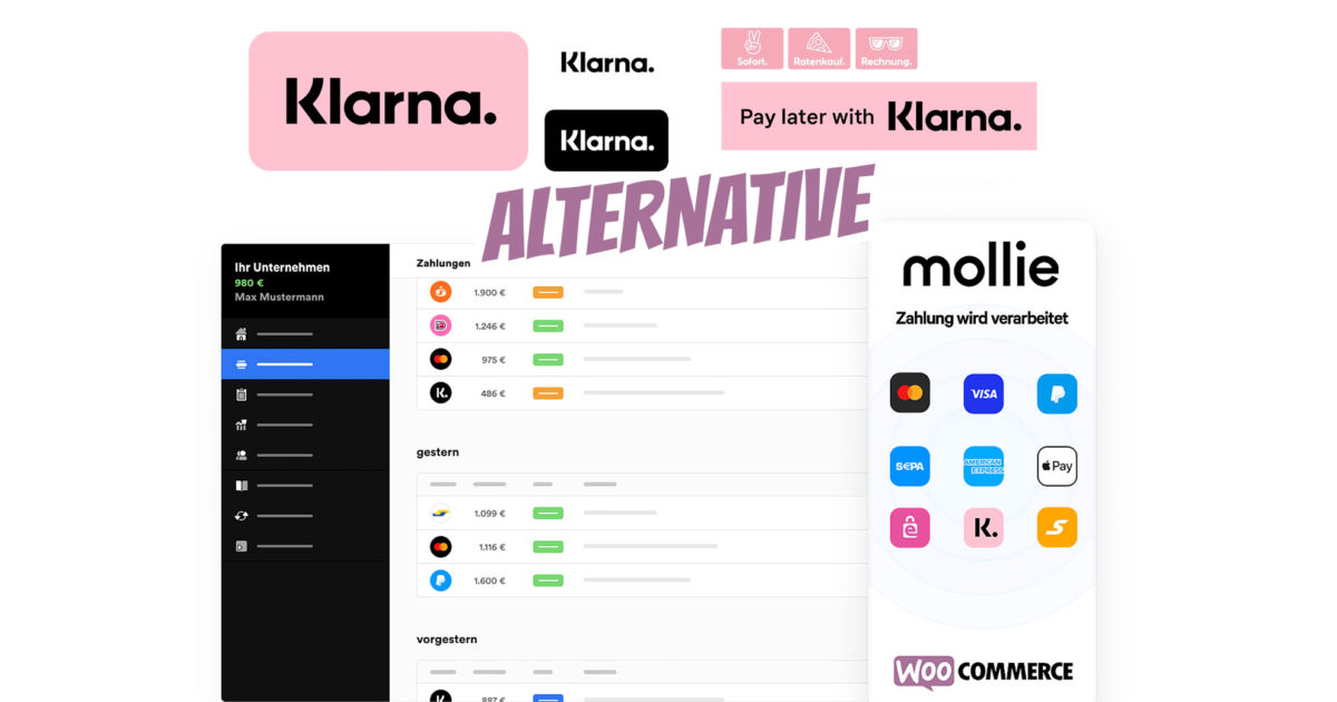 Woocommerce Klarna Plugin Integration Zahlungssystem Zahlungsmethoden Wordpress Zahlungsanbieter