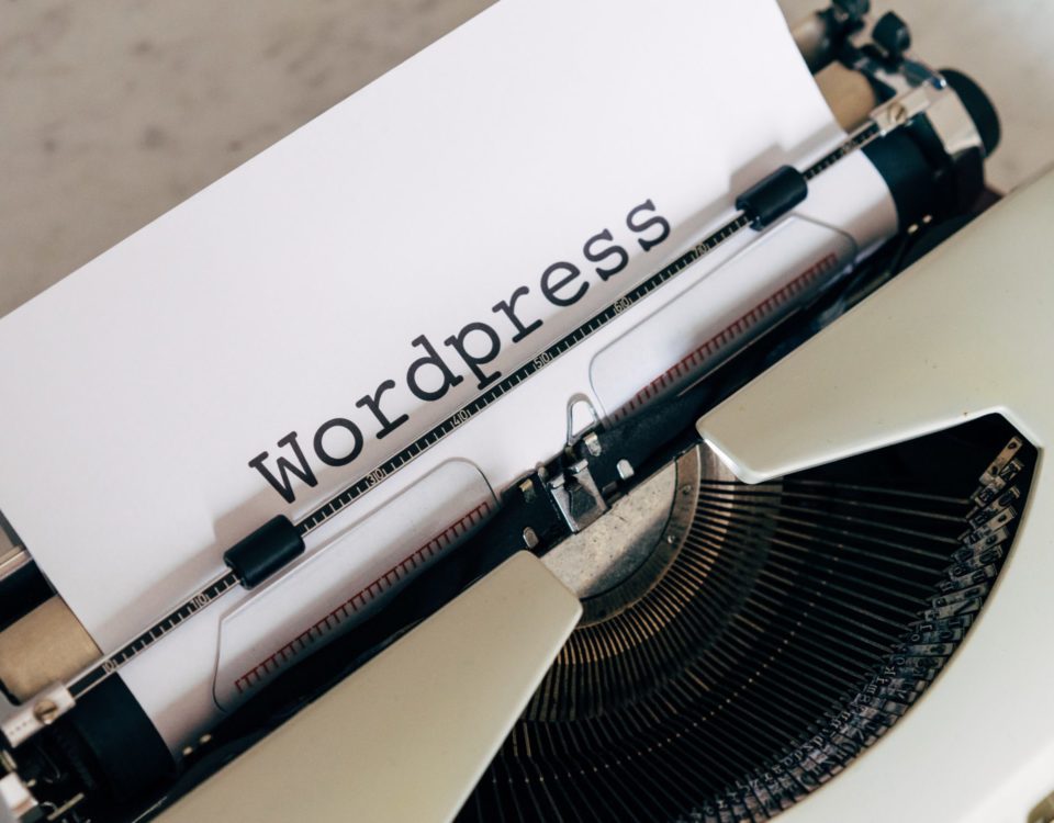 WordPress Google Fonts Disable Local Embed Plugin Local Omgf