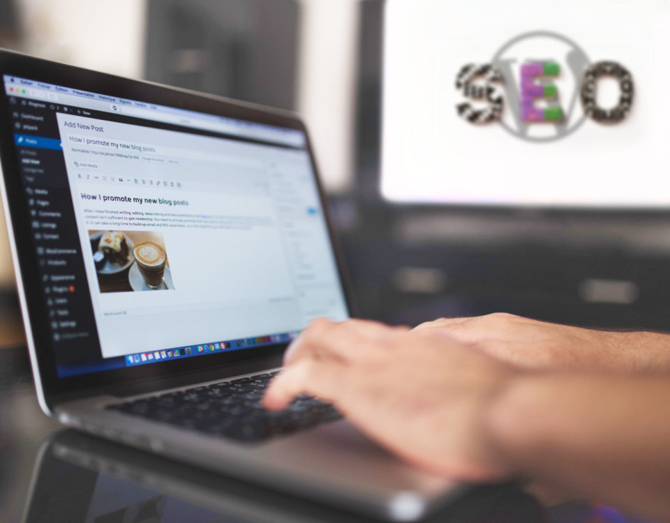 WordPress SEO CMS Content Management System Search Engine Optimization